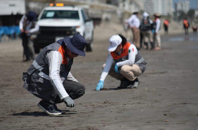 IMG-20260326-WA0058_edit_46162005807538