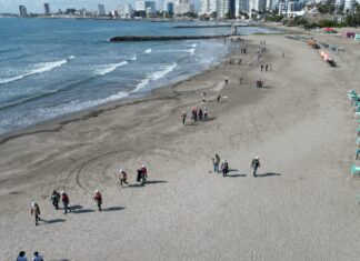 Gobierno de México confirma atención coordinada en el Golfo; Veracruz mantiene playas en buenas condiciones.