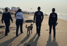 Despliega SSP mil 700 elementos en Operativo Vacaciones Seguras Semana Santa