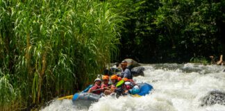 Semana Santa se vive mejor en Veracruz, el estado que está de moda.
