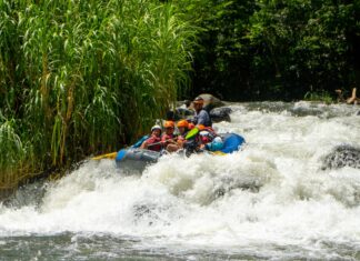Semana Santa se vive mejor en Veracruz, el estado que está de moda.