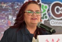 Descarta Alcaldesa de Xalapa envenenamiento masivo de gatos en Fovissste.