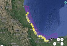#DerrameHidrocarburo: Pemex califica de falsa la imagen difundida por ONG sobre supuesta afectación a arrecifales