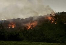 Cuando el fuego no es accidente, sino estrategia .