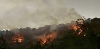 Cuando el fuego no es accidente, sino estrategia .