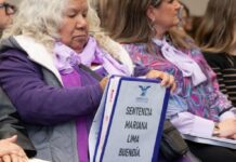 Nueva Ley contra el feminicidio llega 11 años tarde. Duplica Sentencia Mariana Lima .