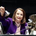 Reforma electoral, un compromiso con la sociedad para acabar con los privilegios: Laura Itzel Castillo