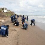 Playas de Alvarado en buen estado; llaman a evitar desinformación .