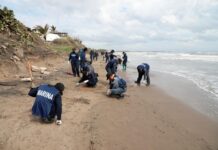 Playas de Alvarado en buen estado; llaman a evitar desinformación .