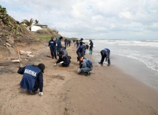 Playas de Alvarado en buen estado; llaman a evitar desinformación .