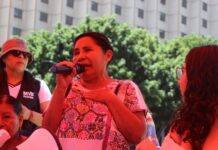 Mujer, indígena y periodista. Marcela de Jesús frente a la libertad de expresión