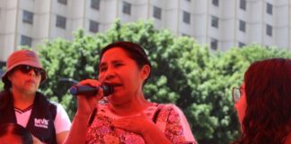 Mujer, indígena y periodista. Marcela de Jesús frente a la libertad de expresión