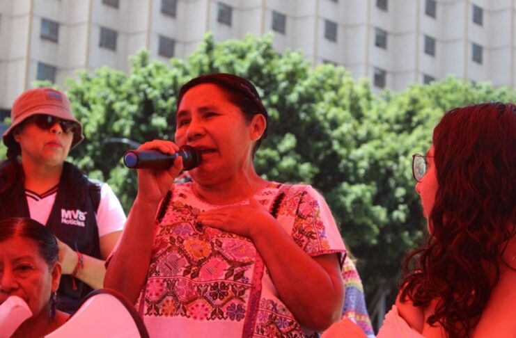 Mujer, indígena y periodista. Marcela de Jesús frente a la libertad de expresión