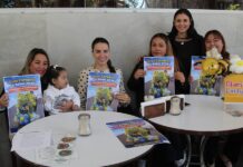 Invitan a desfile de primavera en Xalapa para fomentar identidad y convivencia familiar.