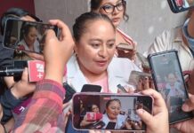 Salud refuerza campañas contra dengue y vacunación en Veracruz.