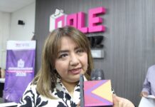 OPLE Veracruz ajustará reglamentos tras reforma electoral: Marisol Delgadillo