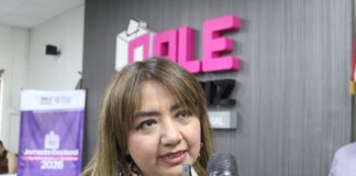 OPLE Veracruz ajustará reglamentos tras reforma electoral: Marisol Delgadillo