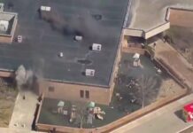 Frustran atentado contra sinagoga en Michigan.