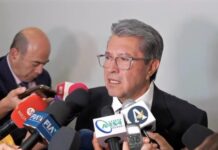 La reforma electoral nació muerta .