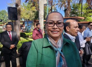 CEEAIV mantiene atención permanente a víctimas de desapariciones: Namiko Matzumoto