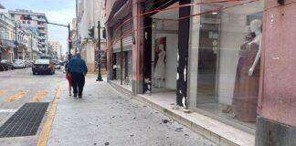 Norte explosivo provoca caída de árboles y daños en zona conurbada de Veracruz