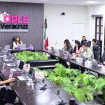 OPLE Veracruz cumple sentencia del TEPJF; reprograma asamblea constitutiva de la organización “Veracruzana Antipopulismo A.C.”