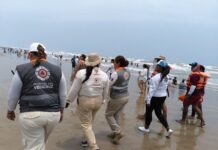 Veracruz despliega más de 2 mil elementos para una Semana Santa segura .