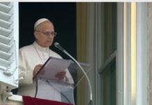 Estas guerras son una vergüenza para toda la humanidad: Papa León XIV