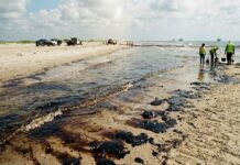 Gobierno reporta 88% de avance en limpieza de playas del Golfo tras derrame de hidrocarburo