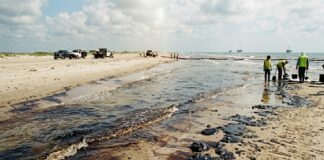 Gobierno reporta 88% de avance en limpieza de playas del Golfo tras derrame de hidrocarburo