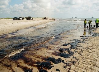Gobierno reporta 88% de avance en limpieza de playas del Golfo tras derrame de hidrocarburo