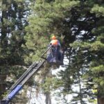 Delimitan áreas en parques de Xalapa por riesgo ante fuertes vientos.