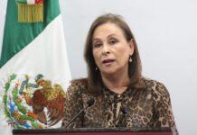Gobernadora Nahle verificará video sobre presunta muerte de delfín por hidrocarburo.