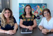 Coordinación y diálogo permanente para garantizar servicios básicos en Veracruz: Rocío Nahle