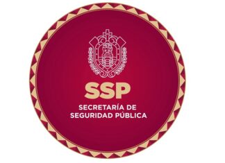 Mantiene Gobierno de Veracruz operativo de búsqueda tras reporte de privación de la libertad de comunicadora