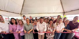 Mujeres, empleo y política pública .