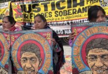 Feadle debe llamar a declarar a AMLO, Uriel Carmona y Cuauhtémoc Blanco «si realmente está interesada en dar con los culpables del asesinato de Samir»: FPDTA-MPT