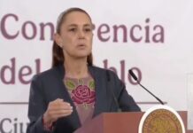 Sheinbaum confirma acusaciones falsas de Karina Barrón contra senador; descarta motivaciones políticas