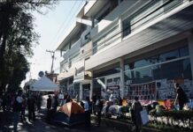 Veracruz: entre balas y narrativas