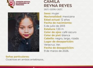 Crece la angustia en Veracruz por la desaparición de la menor Camila Reyna.