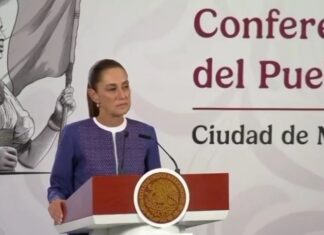 Presidenta Sheinbaum crea grupo interdisciplinario para investigar y atender derrame de hidrocarburo en el Golfo de México