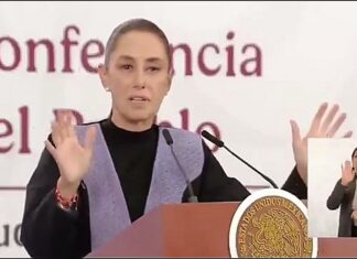 Claudia sheinbaum perfila hipótesis múltiple sobre derrame en el Golfo; Presidenta confronta a Greenpeace por falsa imagen