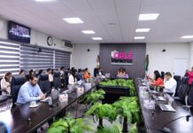 OPLE Veracruz da cumplimiento a la sentencia de la Sala Regional Xalapa del TEPJF