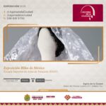 Visita la exposición sobre indumentaria tradicional en el Ágora de la Ciudad.