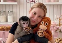 Liberan con vida a repostera e influencer en Culiacán a 24 horas del plagio.