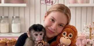 Liberan con vida a repostera e influencer en Culiacán a 24 horas del plagio.