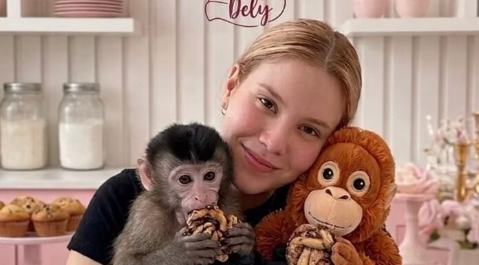 Liberan con vida a repostera e influencer en Culiacán a 24 horas del plagio.