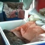 Advierten sanciones por venta irregular de tortillas; multas podrían alcanzar hasta 4 millones de pesos