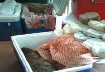 Advierten sanciones por venta irregular de tortillas; multas podrían alcanzar hasta 4 millones de pesos