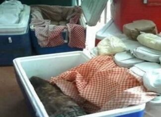 Advierten sanciones por venta irregular de tortillas; multas podrían alcanzar hasta 4 millones de pesos